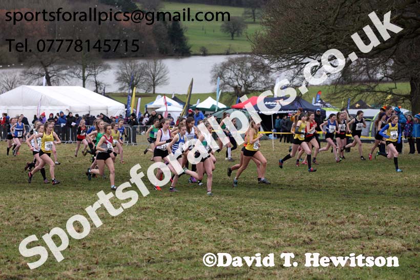 Womens under-17s 2018 Northern Cross Country Champs., Harewood House, Leeds. Photo: David T. Hewitson/Sports for All Pics